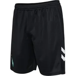 hummel SV Werder Bremen Torwartshorts 2024/25 2001 - black S