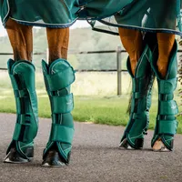 Horseware Signature Transportgamaschen 4erSet - hunter green - Warmblut
