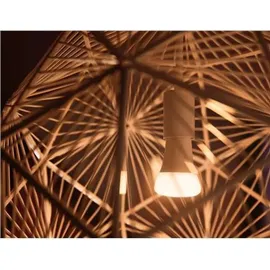 Philips Hue White Ambiance E27 1100 lm Starter-Set 8 W 2 Stk. + Dimmschalter