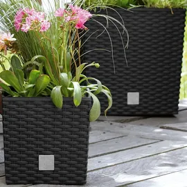 Prosperplast Rato Low 32 x 32 x 32,5 cm anthrazit