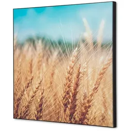 Showdown Displays Wanddekoration Set 40x40cm Getreidefeld
