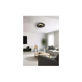 Trio Reality Leuchten Ventilator - schwarz & Maße (cm): B: 50 H: 15 T: 50.0