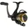 Penn Battle® IV Spinnrolle, Salzwasser-Angler, Angelköder und Köder, Barsch, Pollack, Dorsch, Makrele, Falsch, Aluminiumspule, robust, beidhändig verwendbar, 2500 Rolle, Größe 6,2:1, Schwarz, Gold und