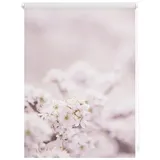 Lichtblick Rollo Klemmfix Motiv Kirschblüten - rosa weiß