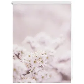 Lichtblick Rollo Klemmfix Motiv Kirschblüten - rosa weiß
