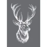 Rayher 45062000 Schablone Violett Malschablone