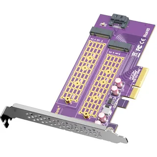 10Gtek 2-Port M.2 NVMe PCIe 3.0 X4 Adapter Card M-Key and B-Key, Support M.2 NVMe SSD and M.2 SATA SSD