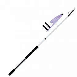 WFT Raubfischrute Pro Tele Spin Spin 30, Spin 30 / 270cm 5-30g