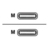 Equip USB 3.2 Gen 2 Typ C M/M, 1.0m,