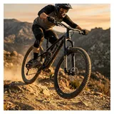 RockShox Federgabel Domain Gold Isolator RC3 Schwarz