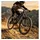 RockShox Federgabel Domain Gold Isolator RC3 Schwarz