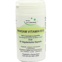 G & M Naturwaren Import GmbH & Co. KG Pangam Vitamin B15 Kapseln 60 St.