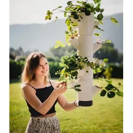 Gusta Garden Sissi Strawberry Erdbeerturm 27 x 77 cm Weiß