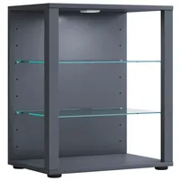 VCM Standvitrine Glasol 52 x 35 x 60 cm Grau