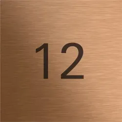 Gira 5560921 Info-Modul System 106 Bronze