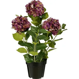 Mica decorations Kunstpflanze Hortensie im Topf violett Ø 40 x 65 cm