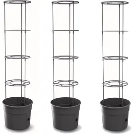 Botle Tomatenpflanze 12 l Ø 30 x 30 cm Schwarz Komplettset
