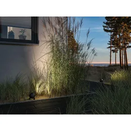 Paulmann Plug & Shine Kikolo IP65 3000 K 7,2 W Anthrazit