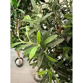 aplanta Künstlicher Olivenbaum - Ian | 170 cm,