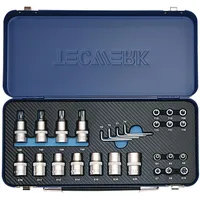 tecwerk Steckschlüsselsatz 27-tlg. 1/4 Zoll T10-T55/E4-E20