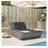 vidaXL Doppel-Sonnenliege mit Kissen 200 x 118 x 50,5 cm Grau
