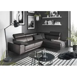 Ecksofa 3C CANDY "Greve modern und bequem, inkl. manueller Kopfteilverstellung, L-Form", braun, B:249cm H:79cm T:209cm, 100% Leder, Sofas, wahlweise mit motorischem Sitzvorzug