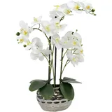 Decoline Kunstpflanze Orchidee XL mit Keramiktopf - ca. 53cm hoch (weiß)