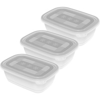 Rotho Freeze 3er-Set Gefrierdosen 1l mit Deckel, Kunststoff (PP) BPA-frei, transparent, 3 x 1l (19.5 x 13.5 x 10.0 cm)