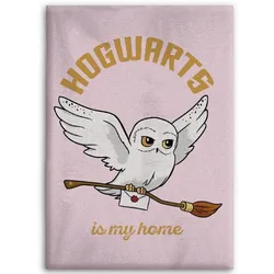 Harry Potter Hedwig Flauschdecke Kuscheldecke 110 x 150 cm