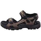 ECCO Offroad Herren tarmac/moon rock 45