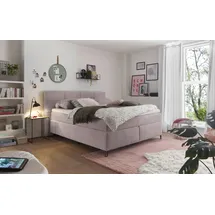 Set One by Musterring Boxspringbett "Fairfield", rosa, B:204cm L:218cm, 92% Polyester, 8% Nylon, SET ONE BY MUSTERRING, Komplettbetten, Boxspringbett, mit Metallfuß schwarz, Wendematratze, Breite 160 oder 180 cm