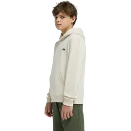 QUIKSILVER Basic White 134