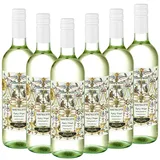 2025 MATTEOTTI Bianco Emilia IGT