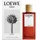 Loewe Solo Cedro Eau de Toilette 50 ml