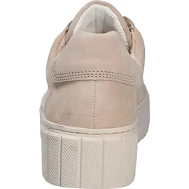 Gabor Damen Schnürschuhe, beige, Gr.7 / Beige - 40,5
