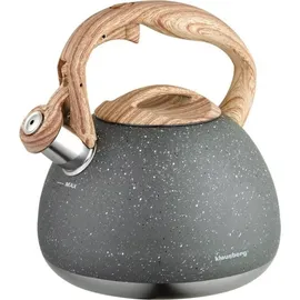 Klausberg 2,8 l Grau