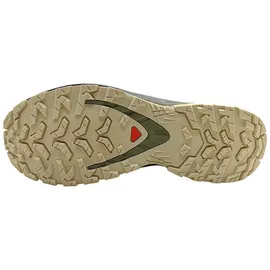 Salomon XA Pro 3D V9 GTX Damen Rouge Red/Vanilla Ice/Martini Olive 40