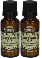 BIOFLORAL Chestnut Bud - Bourgeon de Marronnier Bio Granulés 2x19,5 g