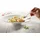 Villeroy & Boch Pastateller M Set 2 Stück Pasta Passion ø 27,2 cm 2er