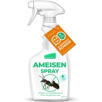 Silberkraft Ameisenspray 500 ml, zuverlässig Ameisen bekämpfen, Anti- Ameisenmittel, Sofort- und Langzeitwirkung, wirksame Alternative zu Ameisengift & Ameisenköder
