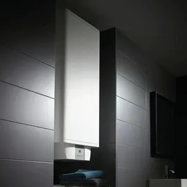 AEG DEM 100 Basis (234199)