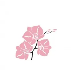 Mank Serviette aus Softpoint - Shija, 1/8 Falz, 40 x 40 cm, 50 Stück - Orchidee Fernost Asiatisch