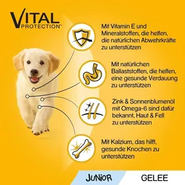 PEDIGREE Junior mit Huhn und Reis in Gelee 24 x 100 g