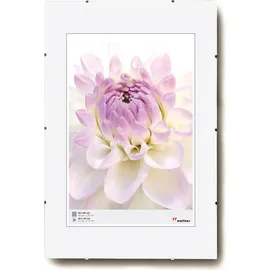 walther design Bilderrahmen Klarglas 40x60 cm 1 St.