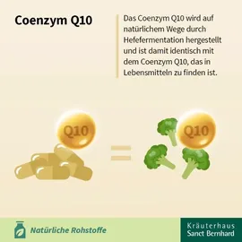 Kräuterhaus Sanct Bernhard Q10-Zellfit 100 mg Trinkfläschchen 30 St.