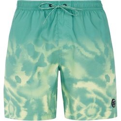 PROTEST PRTAGOR Boardshort 2024 frosty green - L