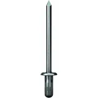 GESIPA Blindniettechnik GmbH PolyBulb Blindniete Alu/Stahl Flachrundkopf 4,8 x 11 mm