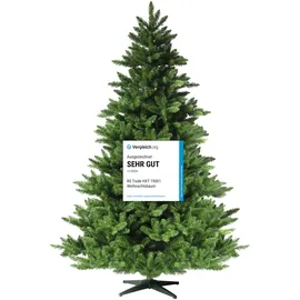 RS Trade HXT 19001 120 cm künstlicher Weihnachtsbaum (Ø Grün