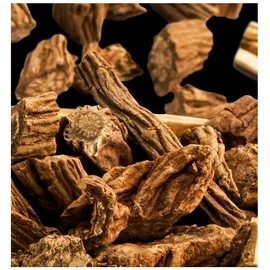YODEYMA Root Eau de Parfum 100 ml