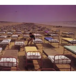 Pink Floyd: Momentary Lapse Of Reason